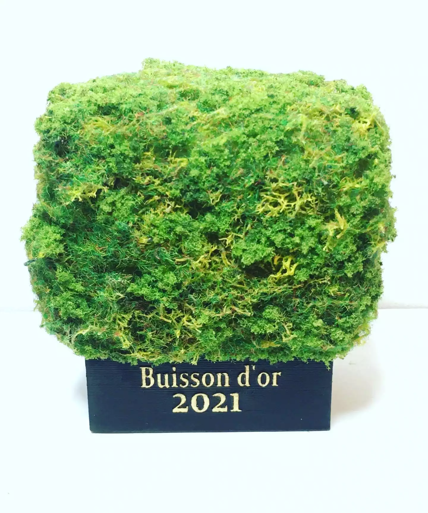 Trophée Buisson d\'Or